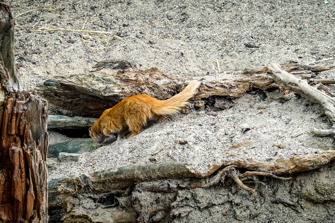 AI 如何革命基因組數據分析?2026 年精准醫療的深度剖析與未來影響 AI 如何革命基因組數據分析?2026 年精准醫療的深度剖析與未來影響