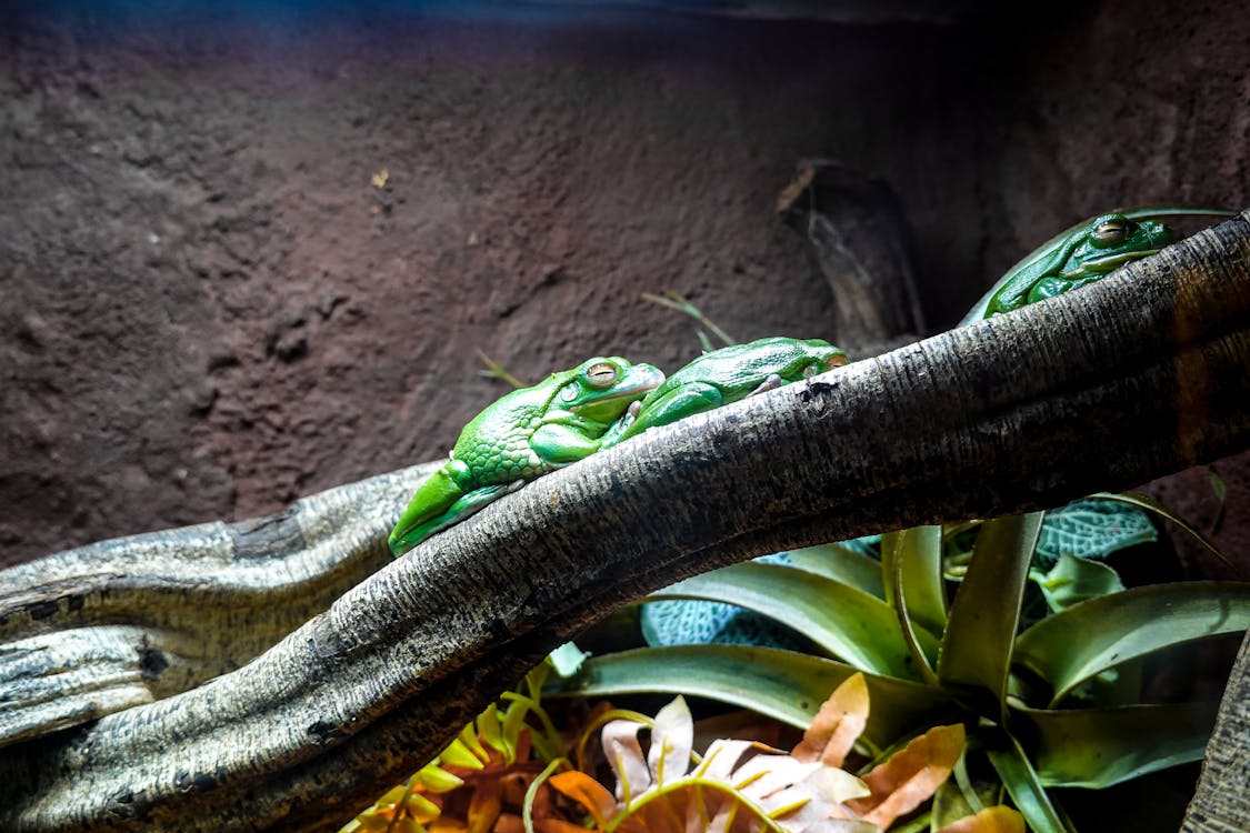 AI安全危機即將爆發?前間諜警告2025年萬尼哭級攻擊如何威脅全球網絡 AI安全危機即將爆發?前間諜警告2025年萬尼哭級攻擊如何威脅全球網絡