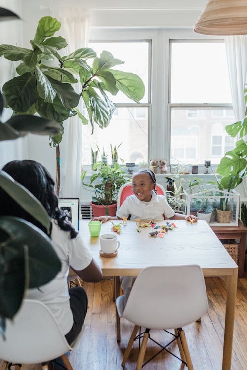 Foto profissional grátis de afro-americano, alegre, casa