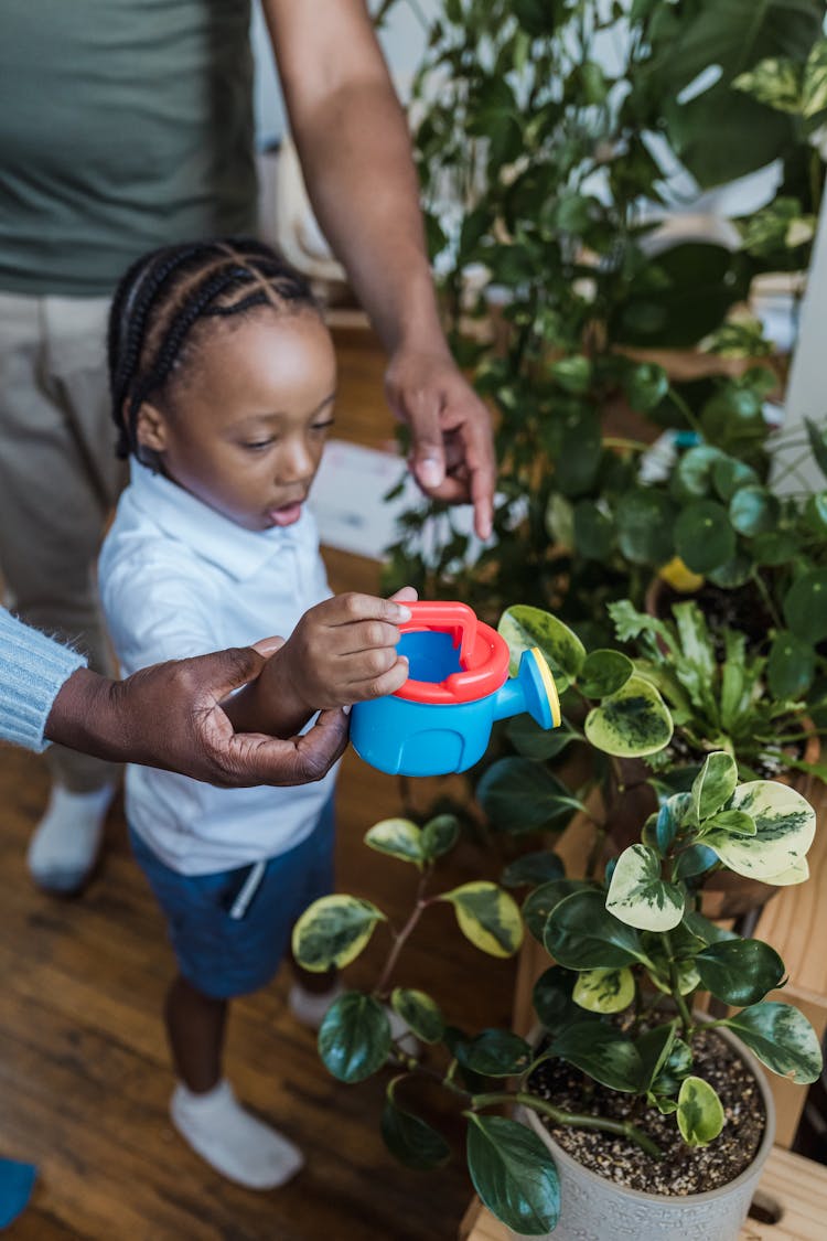 Parent Helping Little Child Watering Plants At Home