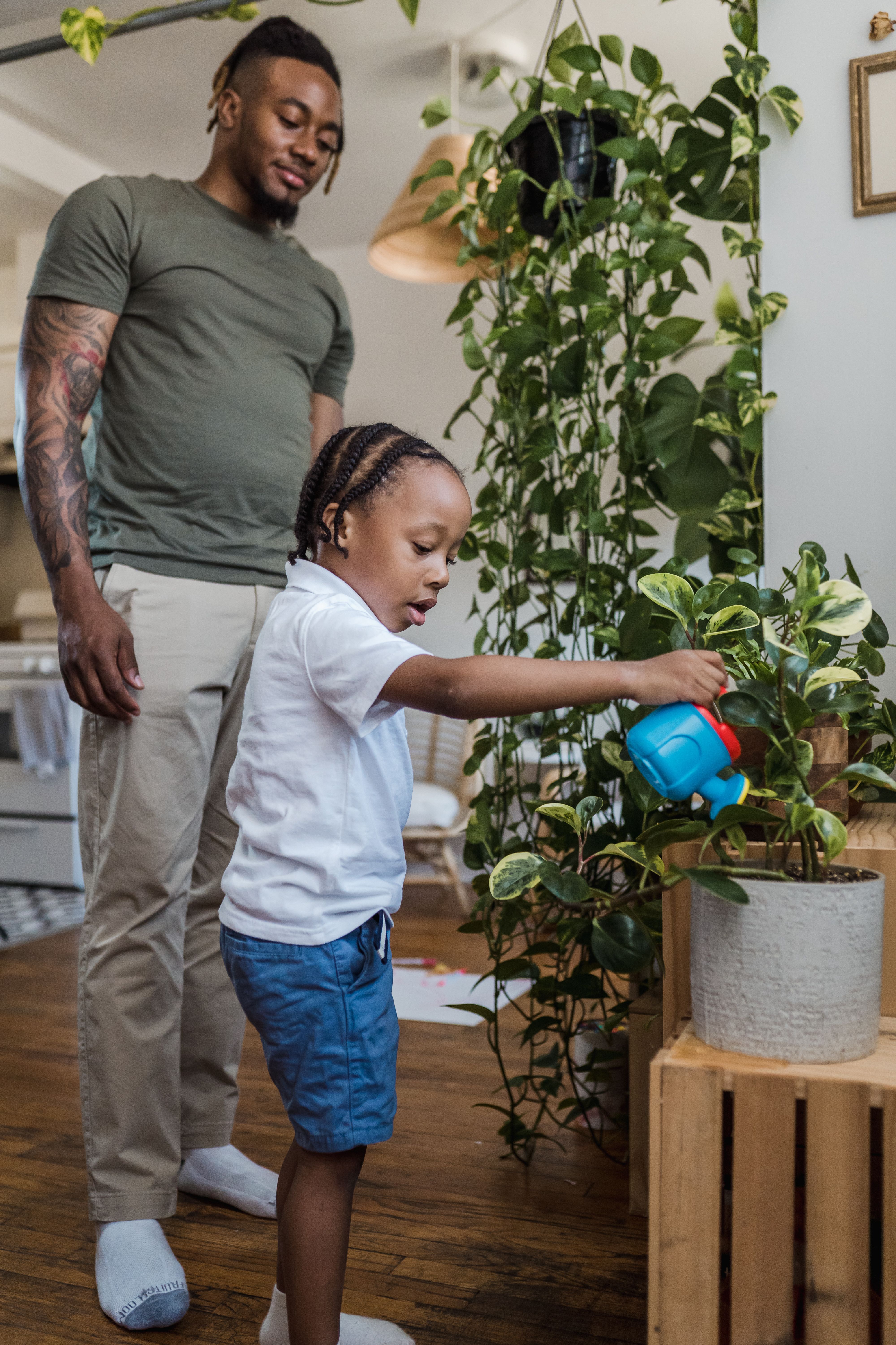 Plant Parent Photos, Download The BEST Free Plant Parent Stock Photos & HD  Images