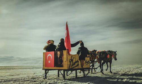 Základová fotografie zdarma na téma cestování, doprava, koně