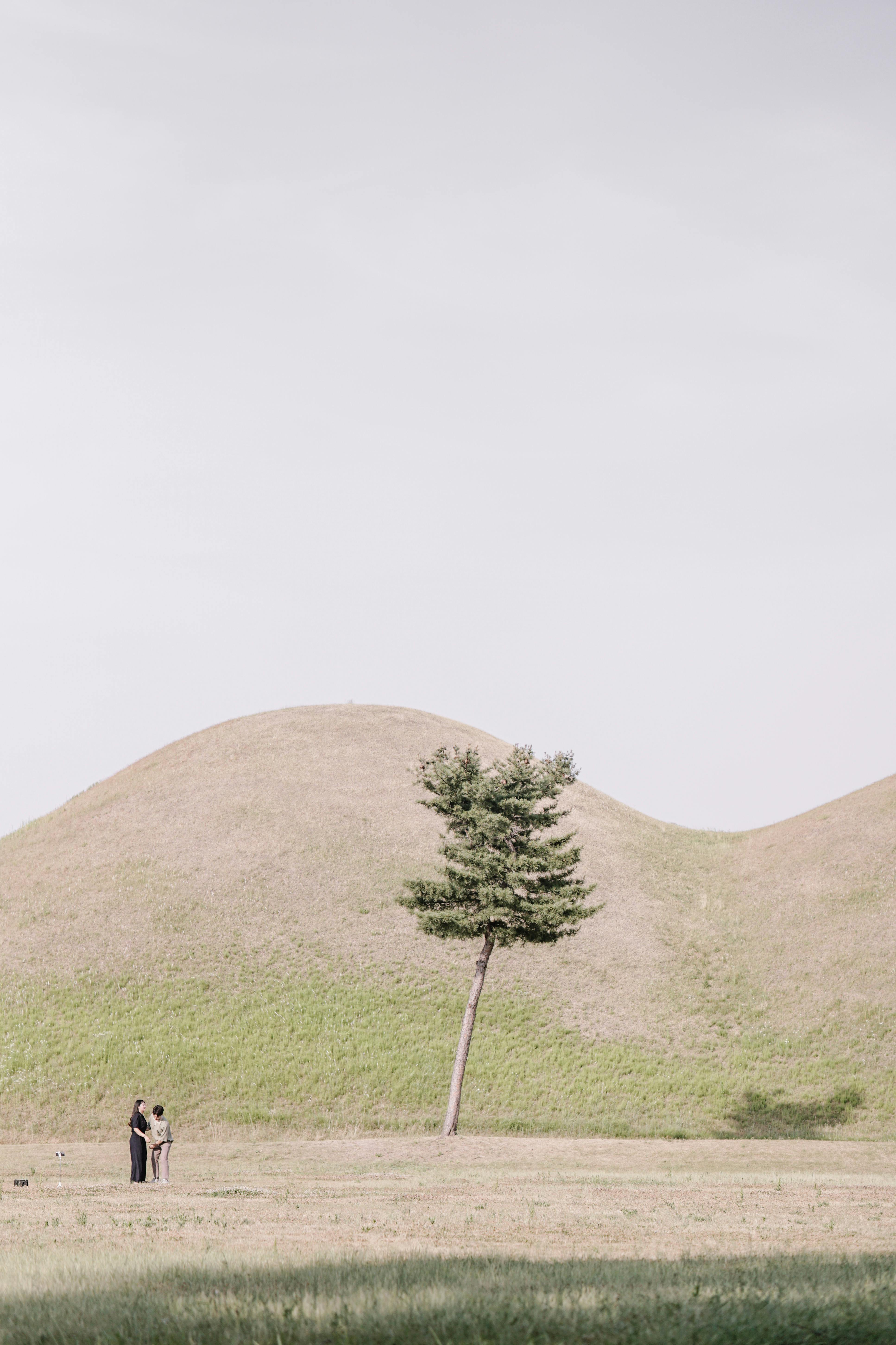 Menyatu dengan Alam: Wisata Alam yang Menyegarkan