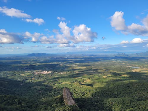 Kostnadsfri bild av drönarbilder, fågelperspektiv, fält