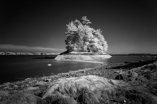 Základová fotografie zdarma na téma černobílý, jezero, krajina