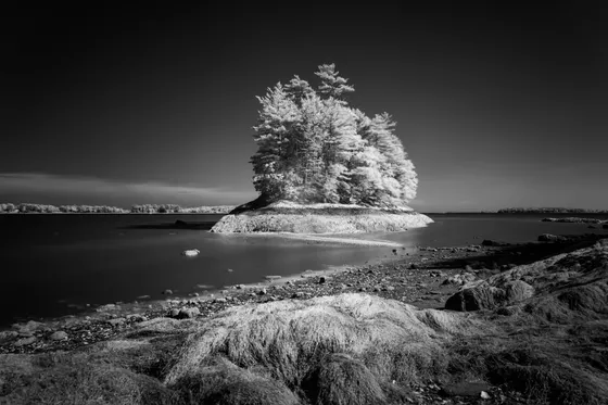 A quiet inland lake on Isle Royale with loons
