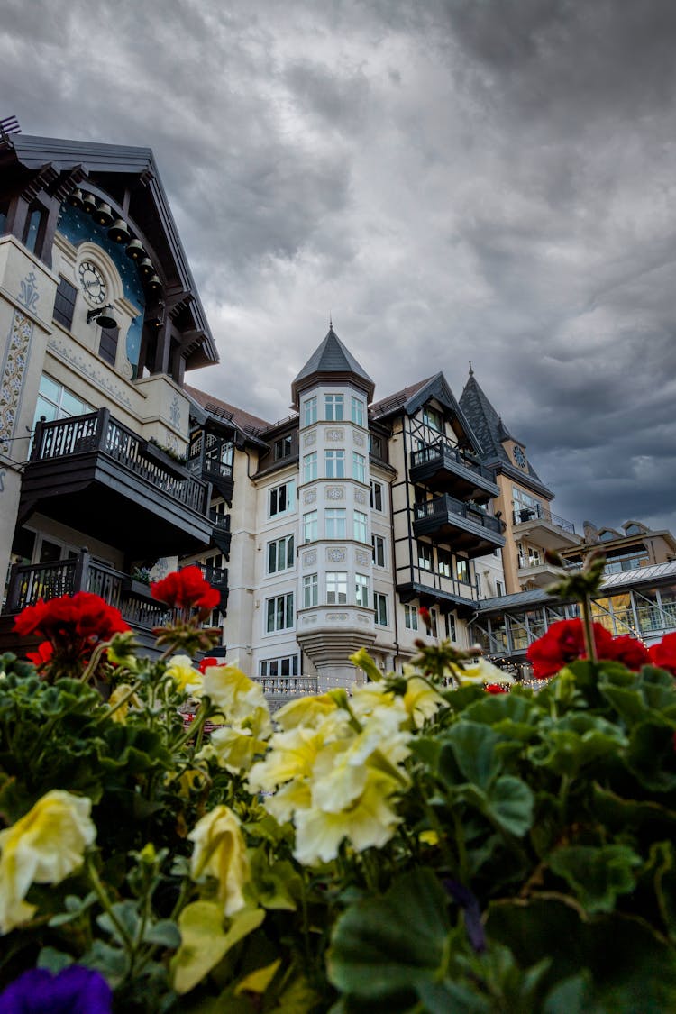 Colorful Flowers Near The Dolder Grand Hotel