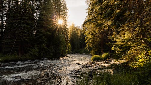 Photo of a River at Sunset