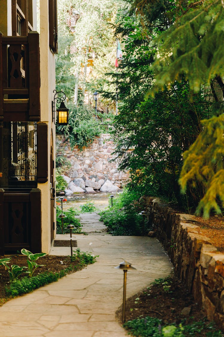 A Footpath In A Garden