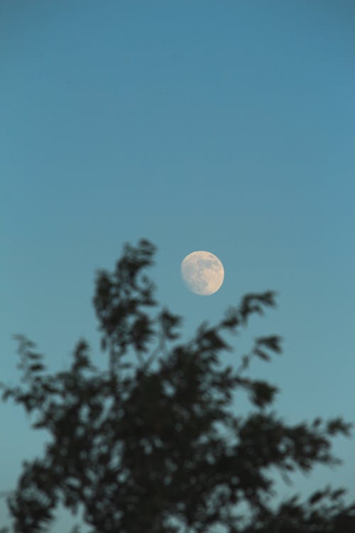 Kostnadsfri bild av fullmåne, lågvinkelfoto, månfotografering