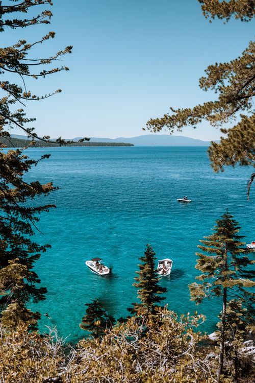 Free Beautiful lake view with boats and lush pine trees under a clear blue sky. Stock Photo