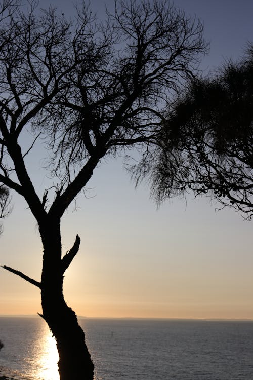 Základová fotografie zdarma na téma flinders victoria, flinders victoria austrálie, mír