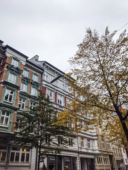 Low Angle Shot of Residential Buildings and Autumnal Trees in City 