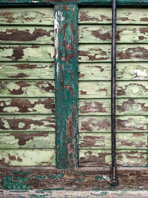 A Wood Painted Green in Close-up Photography