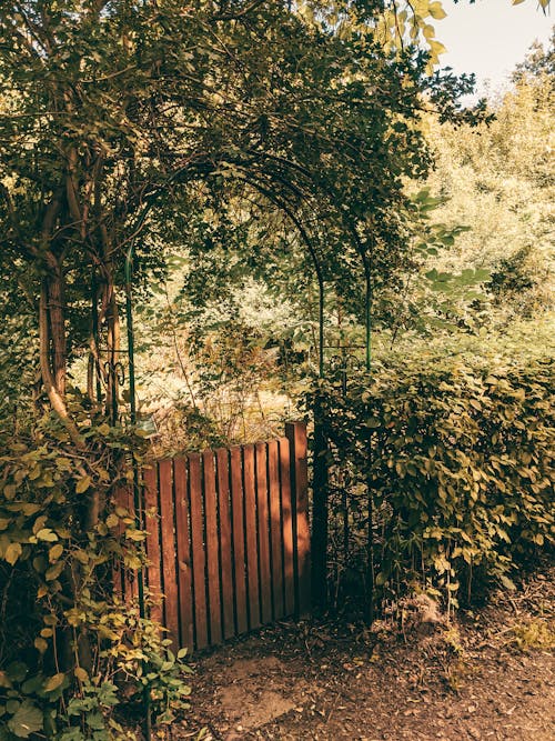 Foto stok gratis gerbang masuk, pagar kayu, pintu kayu
