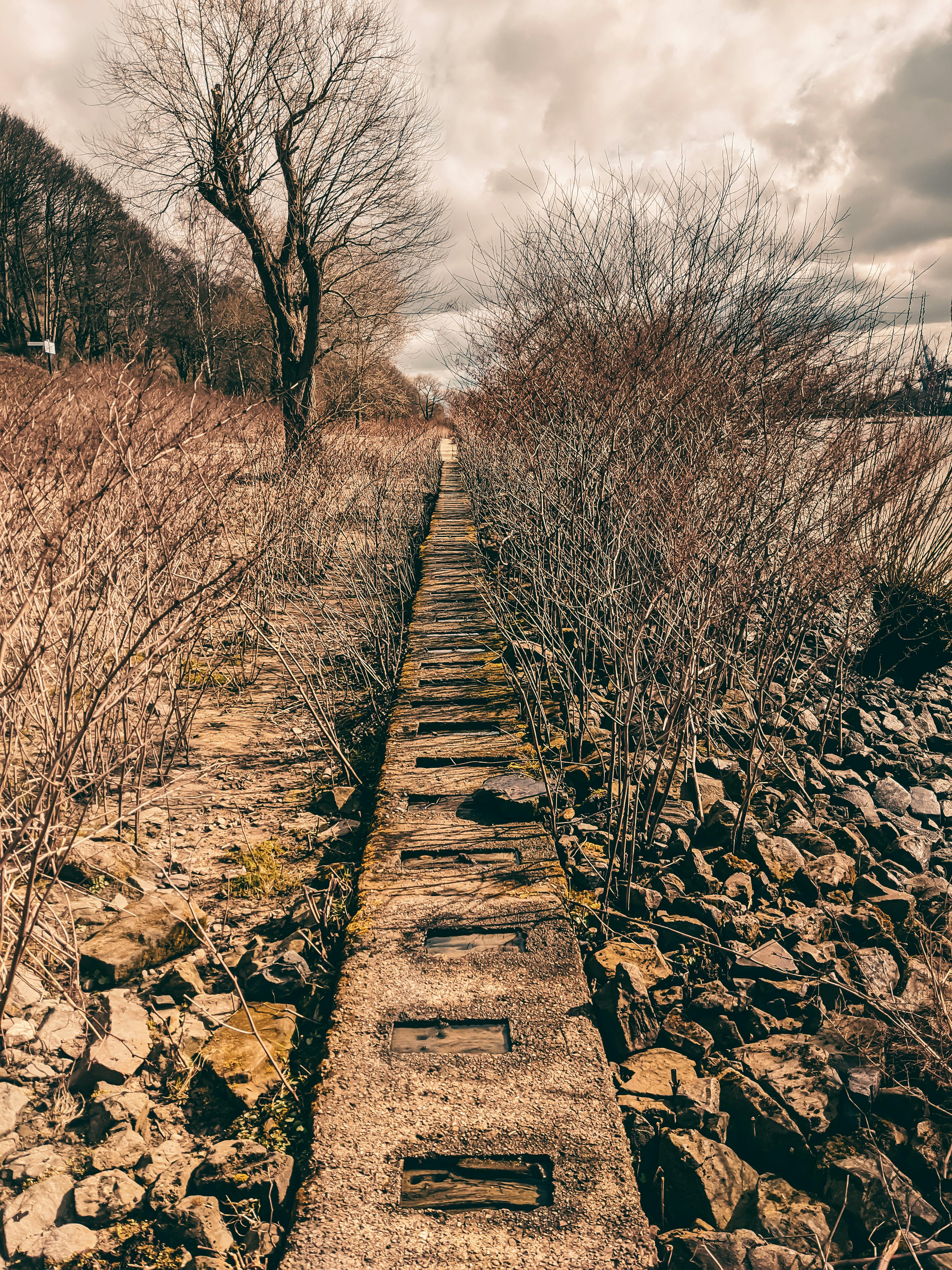 How to fall asleep quickly?