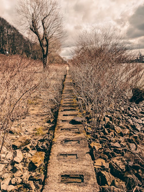 Kostenloses Stock Foto zu beratung, draußen, felsen