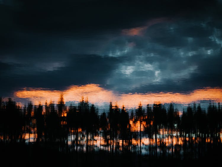 Blurred Clouds Over Forest