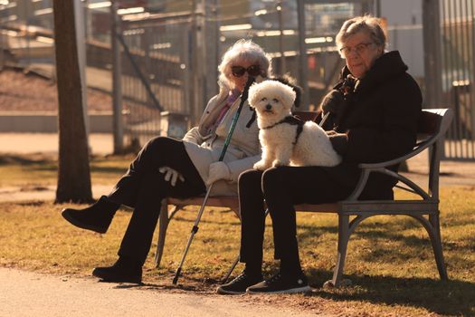 Women Sitting on Bench with a Dog