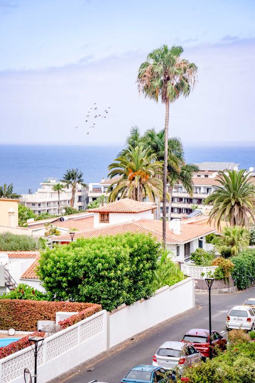 Free Charming villas and tropical landscape in Puerto de la Cruz, Spain. Stock Photo