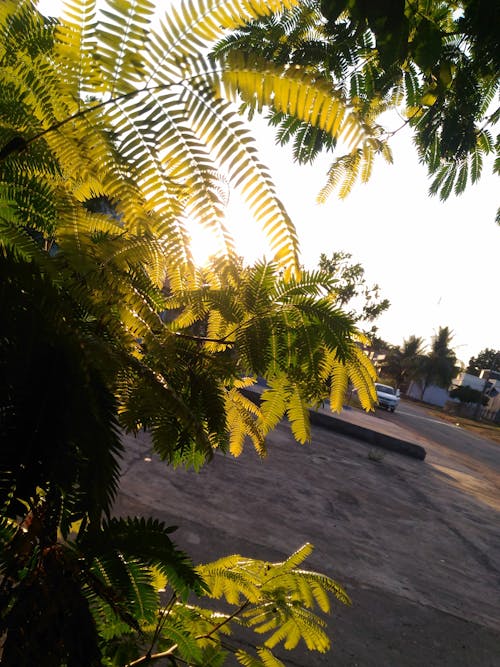 Fotobanka s bezplatnými fotkami na tému mesto, príroda, prírodné mesto