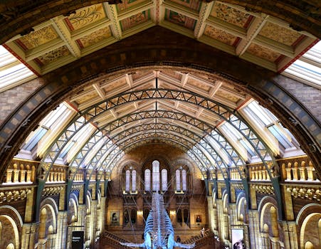 Intricate architectural details of the Natural History Museum's grand central hall in London.