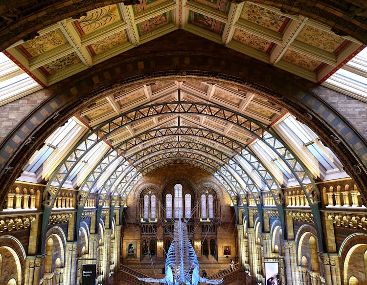 Interior Of The Central Hall In The Natural History Museum In London, England, UK 