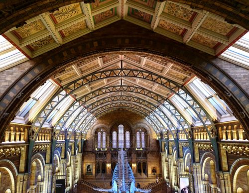 Free Intricate architectural details of the Natural History Museum's grand central hall in London. Stock Photo