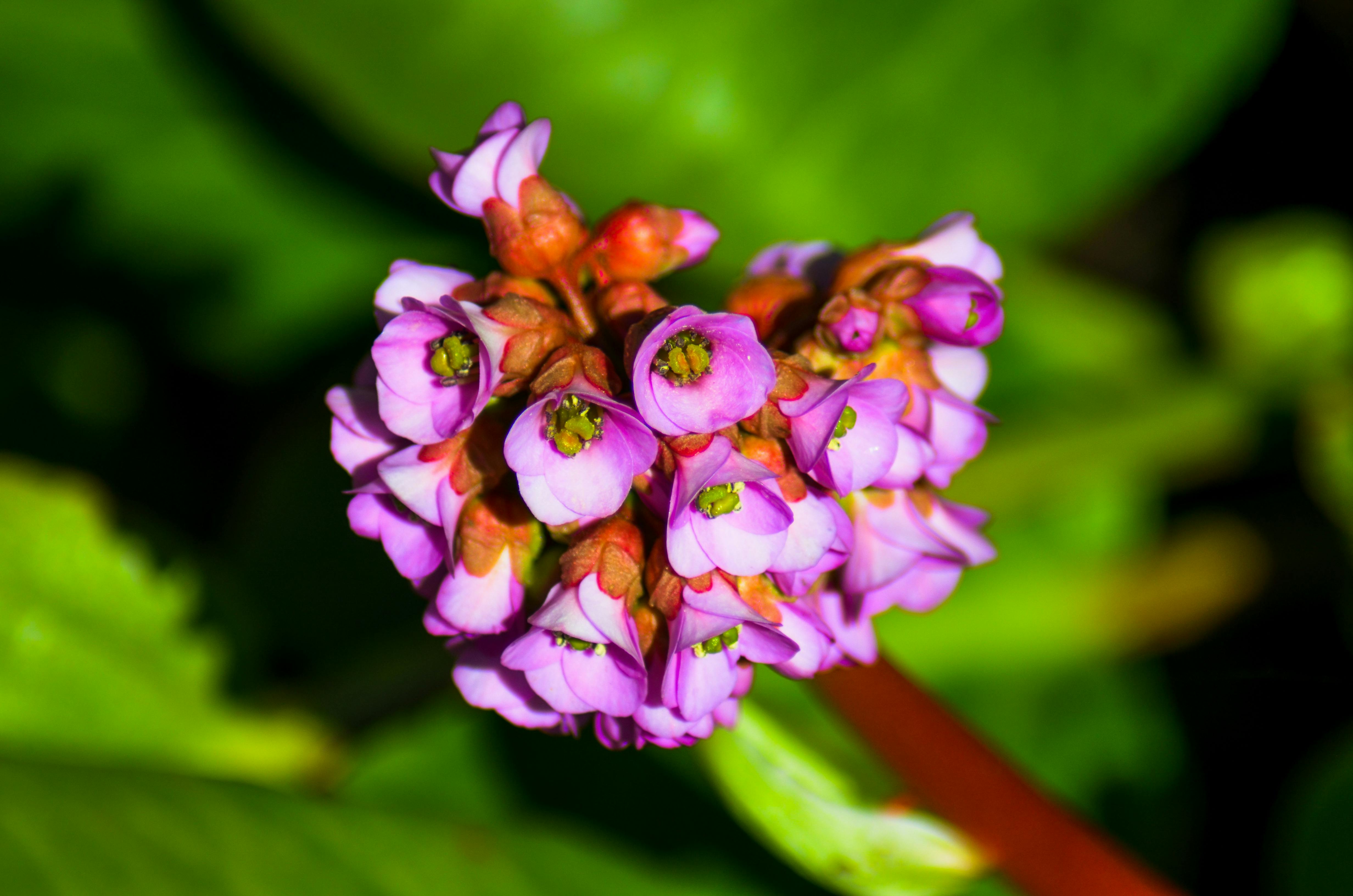 10 Best Bluetooth Speakers for Music Lovers