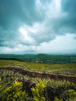 Expansive green farmland with dramatic clouds above, showcasing rural beauty.