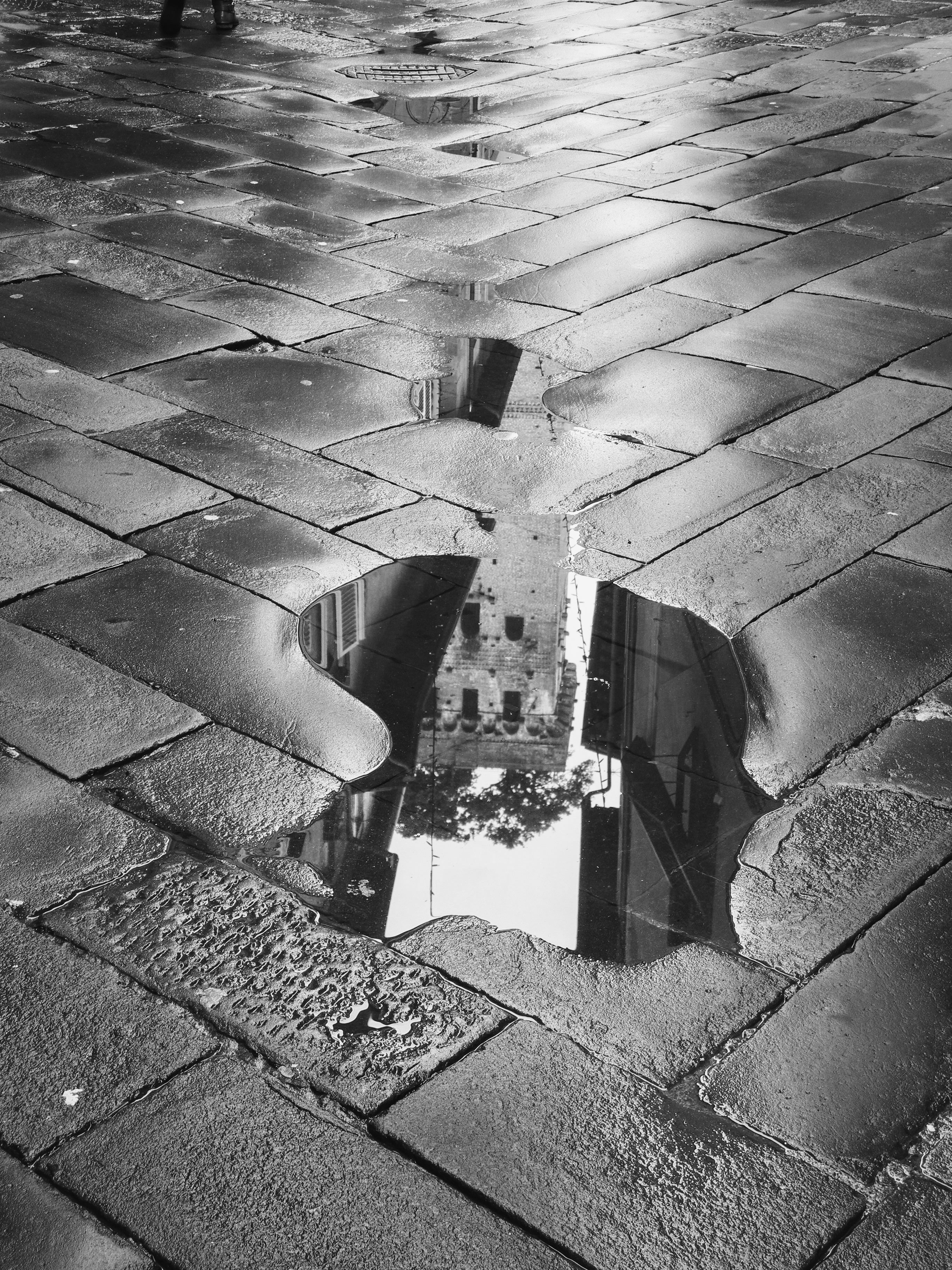Greyscale Photo of Rain Drops · Free Stock Photo