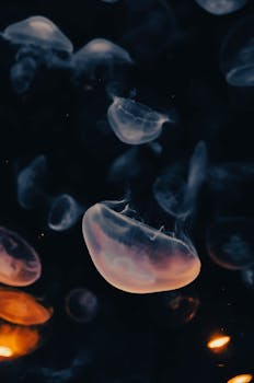 Enchanting jellyfish floating gracefully in an aquarium with a dark, mystical backdrop.