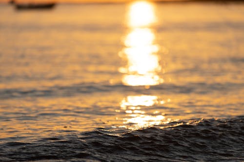 Ocean during Sunset