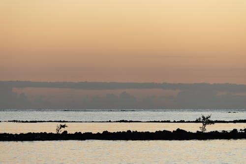 Fotos de stock gratuitas de agua, amanecer, anochecer