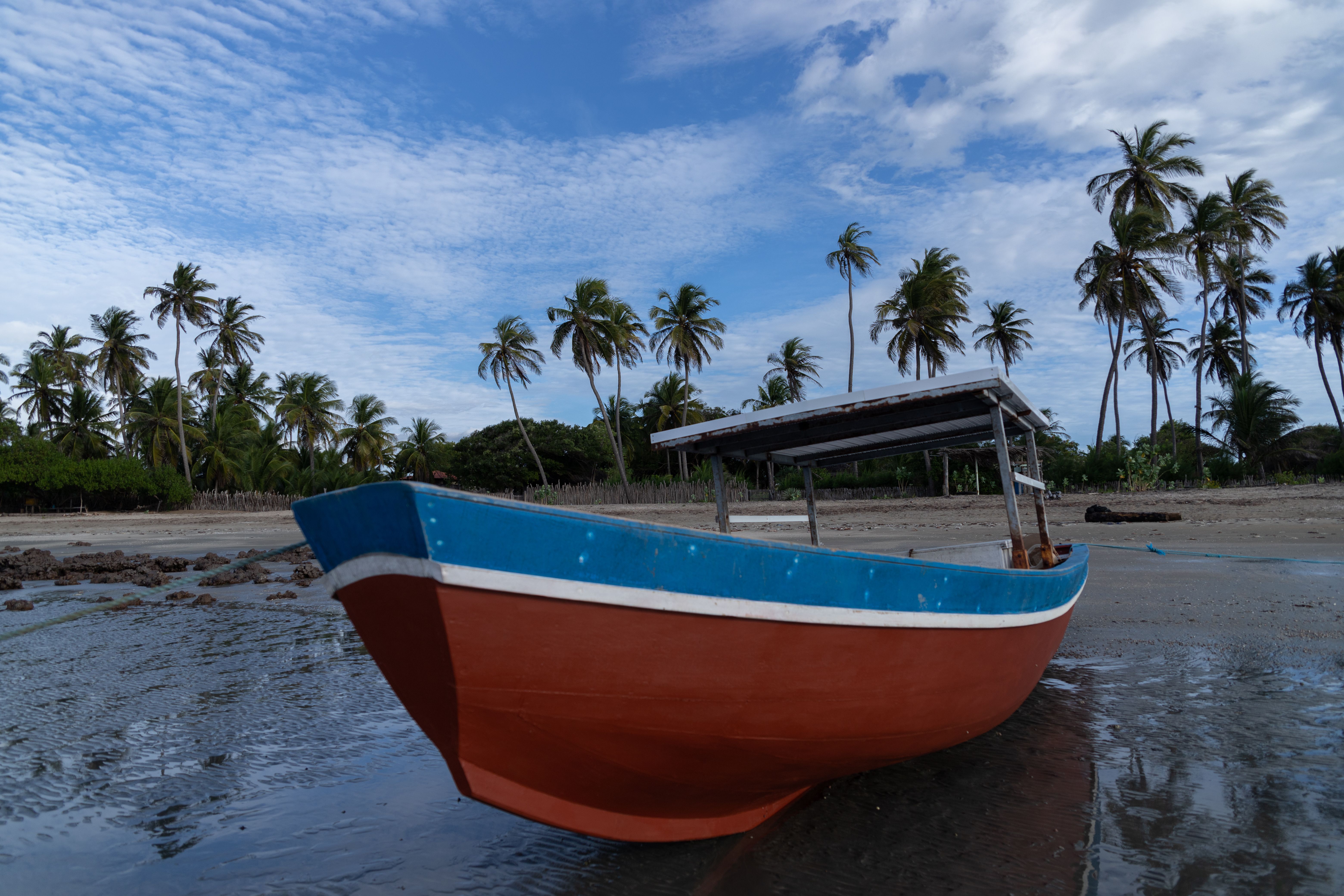 Quiet shoreline with fishing boats and coconut palms on Vypin island near Njarakkal