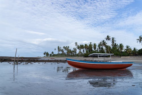 Red and Blue Boat on the Seashore