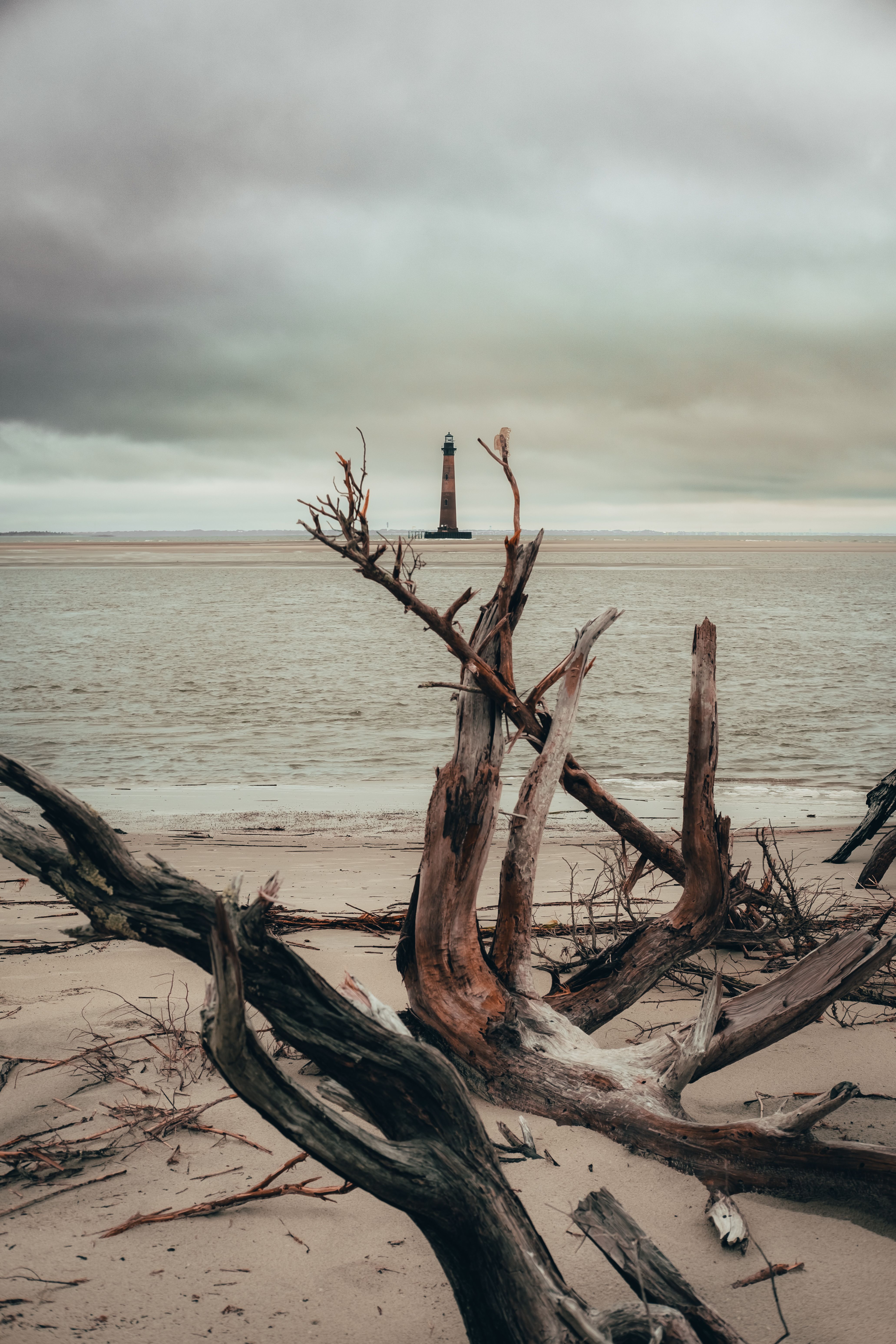 Moody coastline with bleached driftwood, photo by Connor Scott McManus on Pexels
