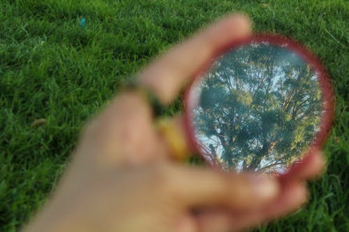 Hand Holding a Mirror Reflecting Trees 