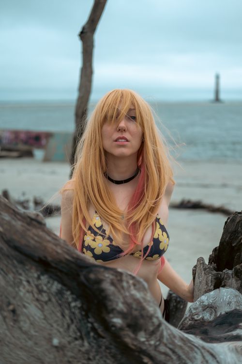 Free A young woman in a floral bikini poses by driftwood on a beach with a lighthouse in the background. Stock Photo
