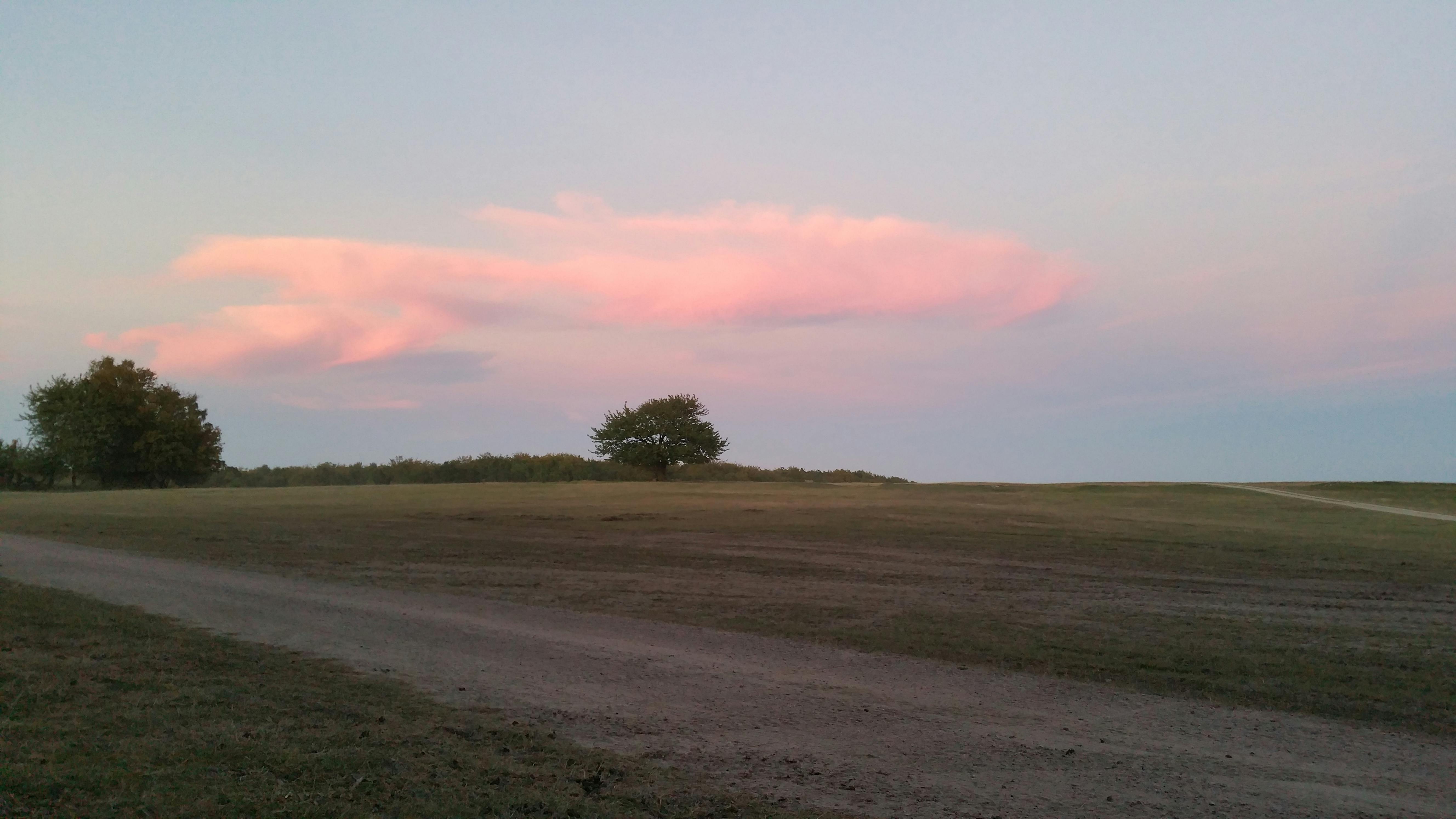 What's The Difference Between Peanut Oil And Vegetable Oil Difference