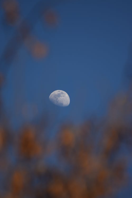 Zadarmo Fotobanka s bezplatnými fotkami na tému fotografovanie mesiaca, luna, mesiac Fotka z fotobanky