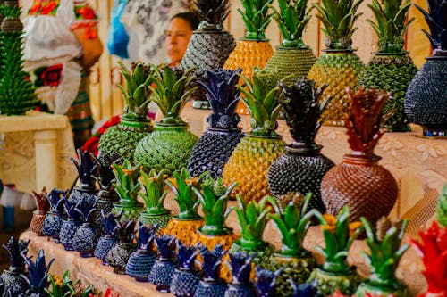 Bezpłatne Darmowe zdjęcie z galerii z ananas, dekoracyjny, doniczki Zdjęcie z galerii