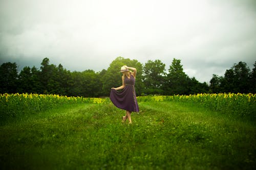 Free stock photo of dance, dancing, farm