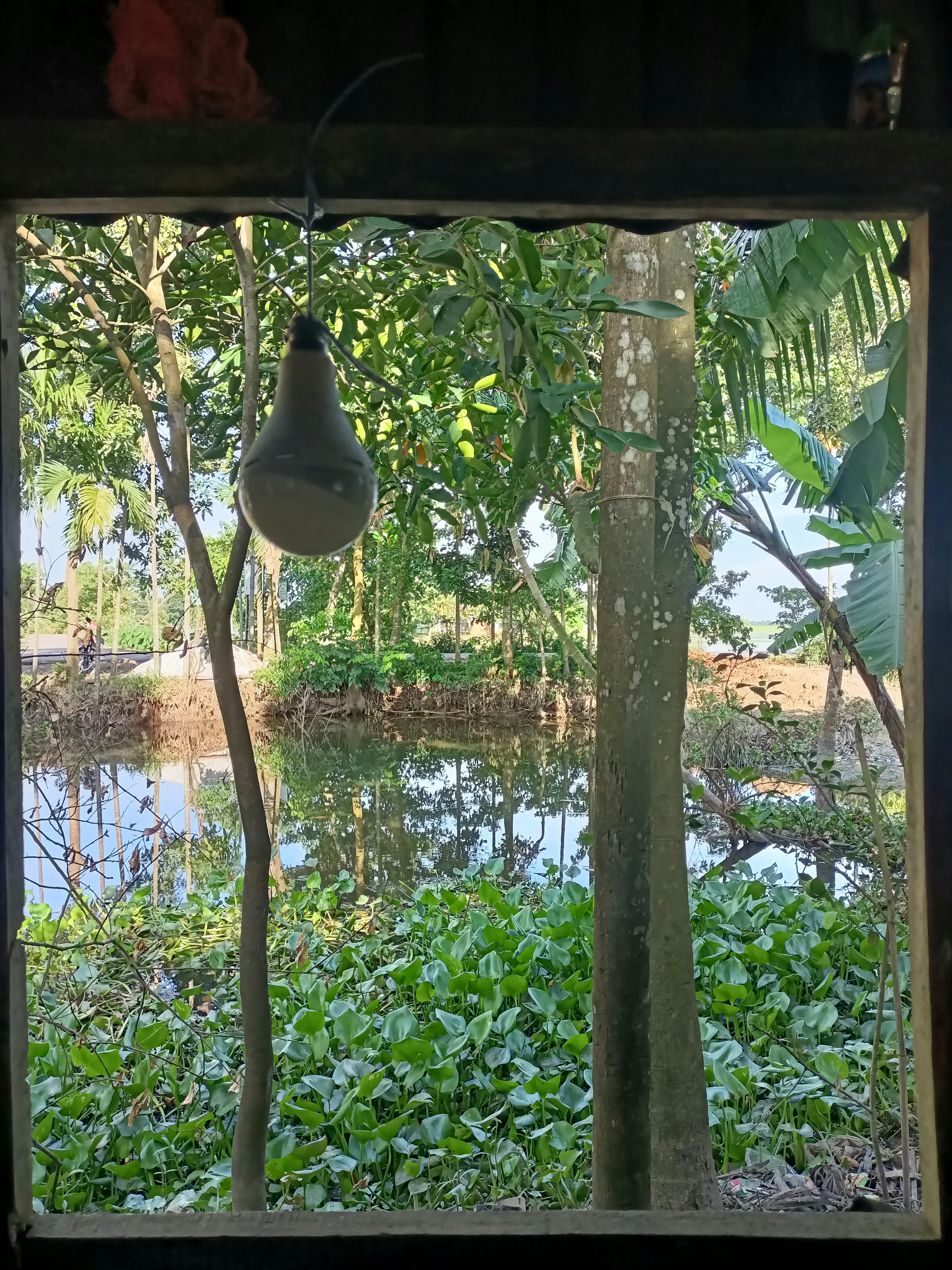 馬斯克xAI與特斯拉Optimus合作：2026年人形機器人AI系統將如何重塑全球產業鏈？