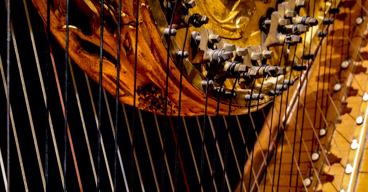 Harp Strings Instrument in Close-up Shot · Free Stock Photo