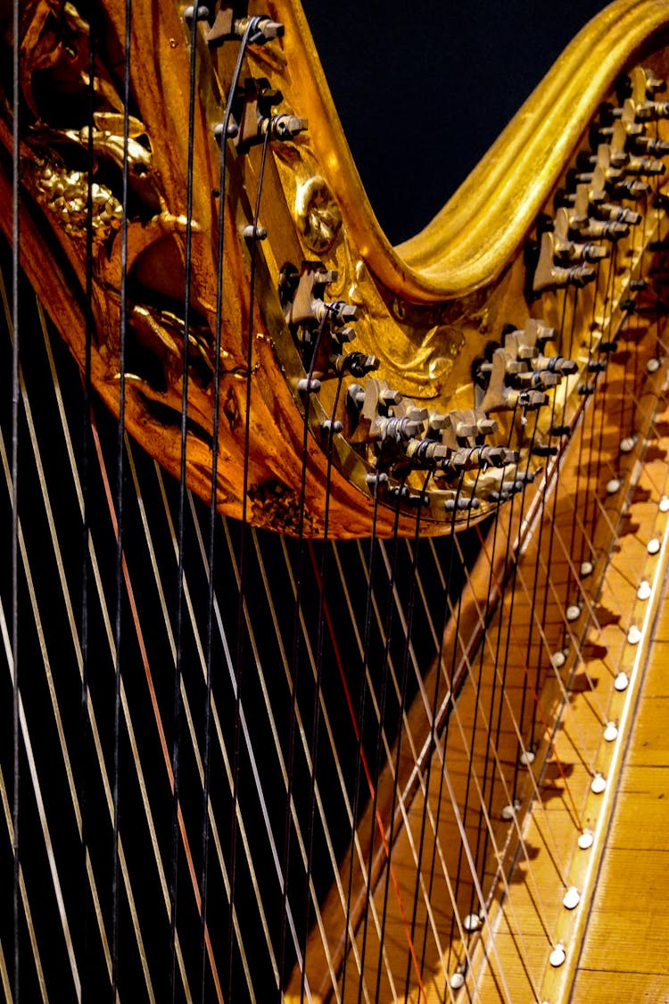 Harp Strings Instrument In Close-up Shot