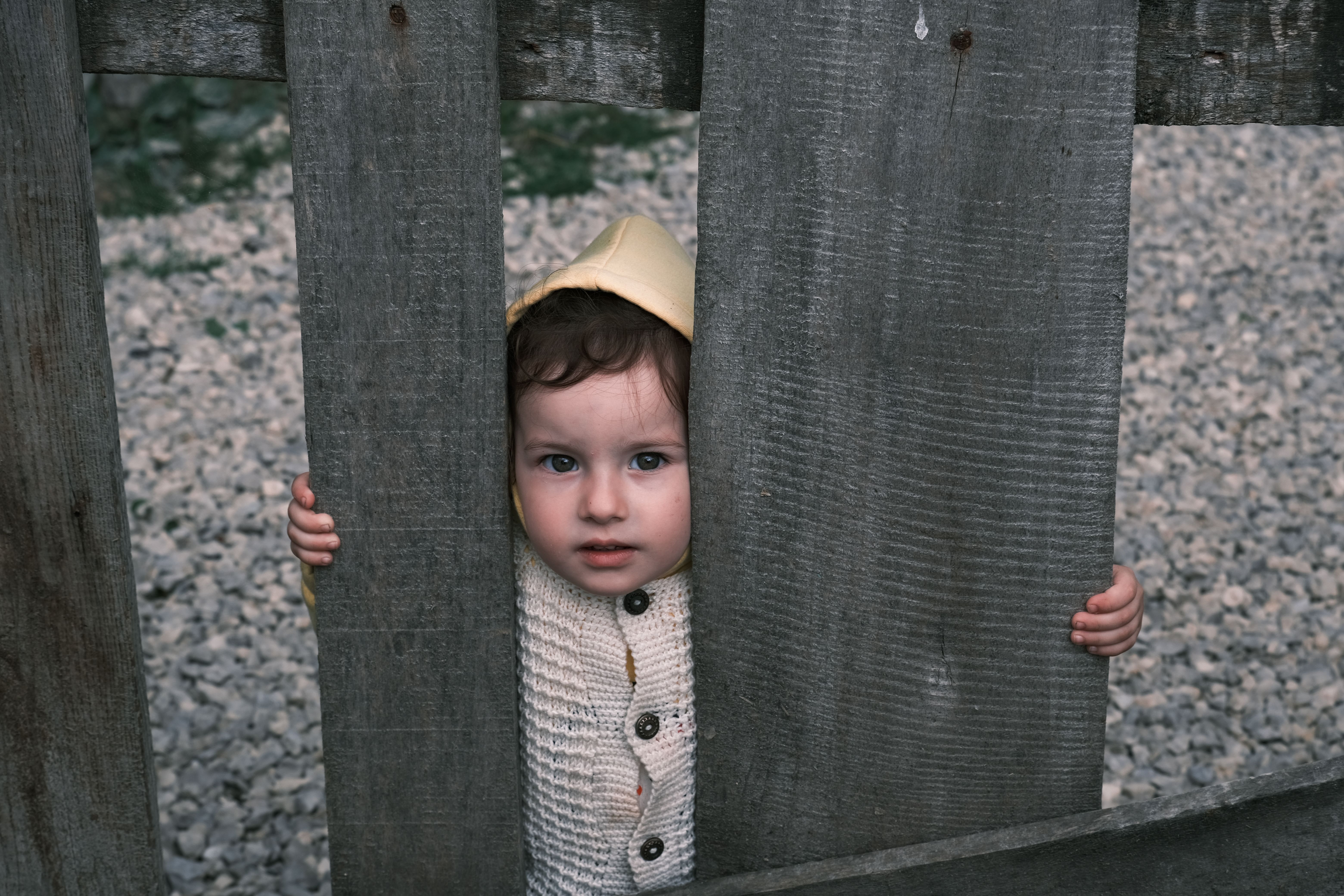 A curious child peering through a wooden fence in an outdoor setting.