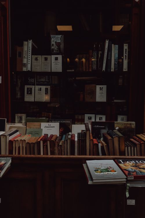 Free Books neatly arranged on wooden shelves in a vintage Parisian bookstore, France. Stock Photo