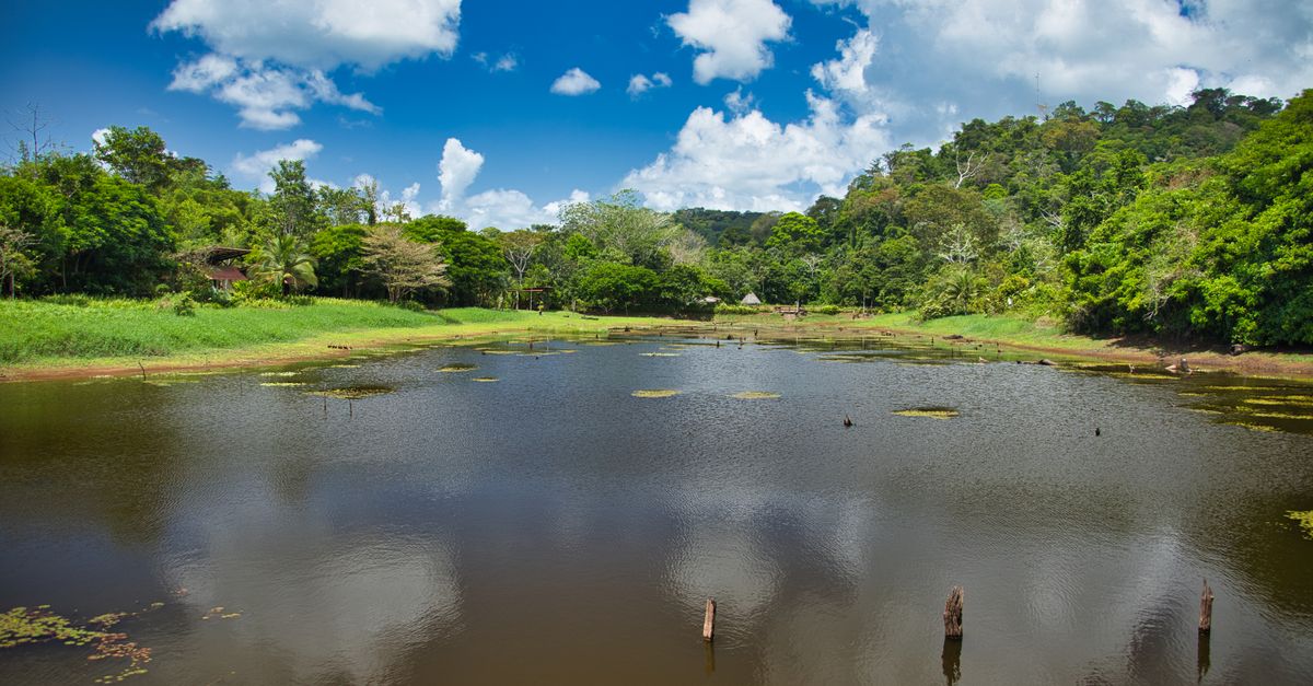 Costa Rica - Expat Life in Nosara’s Beach Community — A Local's Perspective