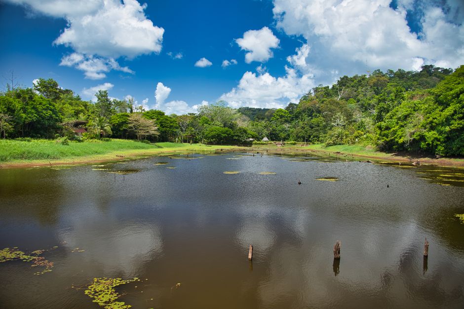 Santa Elena Cloud Forest Reserve, Costa Rica - travel photo
